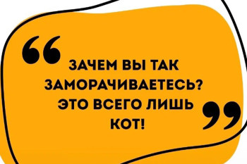 Кота мы вам не дадим, или приходите завтра