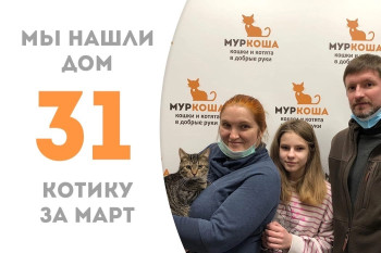 Котик Пришелец отправился домой!