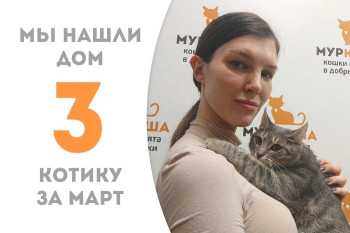 Кот Прудик стал домашним!