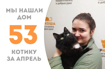Отважный котик Рауль начинает домашнюю жизнь! 