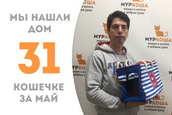 Кошечка Ренесми нашла дом за месяц!