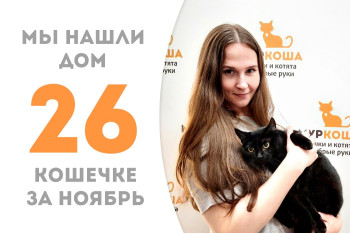 Трёхлетняя кошечка Рейчел встретила своего человека! 