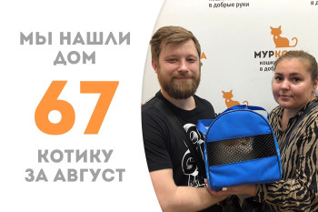 Уличный котик Риджен стал домашним и счастливым!