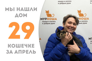 Кошечка Рошель встретила прекрасную хозяйку!