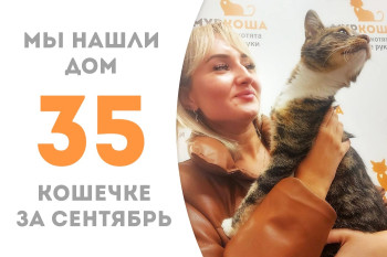 Кошечка Розмари нашла себе добрую хозяйку, пробыв полтора месяца в приюте! 