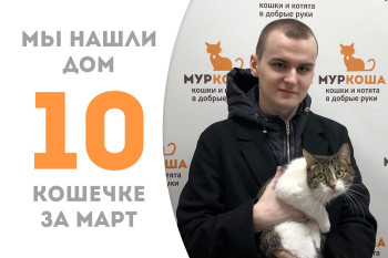 Милая Руккола теперь домашняя и счастливая!