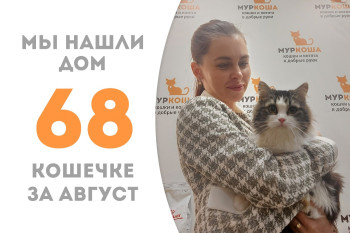 Кошечка Румина нашла новый дом, не пробыв и двух месяцев в приюте! 