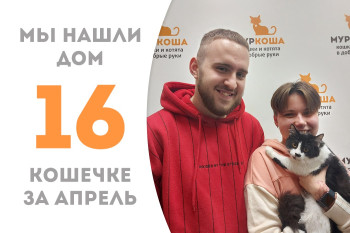 Крошка Рутти стала домашней любимицей!