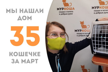 Кошечка Самира встретила свою прекрасную хозяйку!
