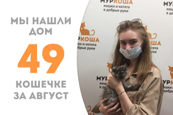 Котёнок Сехмет стала домашней и любимой, проведя в приюте полтора месяца! 