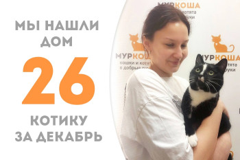Котику по имени Секретик понадобился месяц, чтобы обрести своё счастье! 