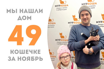 Девятимесячная кошечка Сеньорита Мурита обрела добрую семью и уютный дом! 