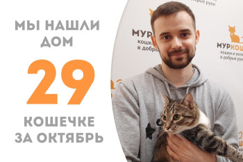 Четырёхлетняя кошечка Сэйшела обрела замечательного друга и хозяина!