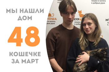 Кошечка Шапелен уезжает в новый дом!
