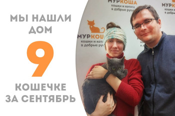 Кошечка Силвер стала домашней любимицей! 