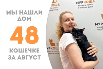 Для трёхлетней уличной кошечки Славии, попавшей под машину, нашлась добрая хозяйка! 