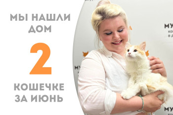 Кошечка Стэлари стала домашней за два месяца! 