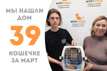Великолепная кошечка Тамрико встретила свою семью!