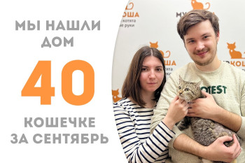 Годовалая кошечка Татани стала домашней любимицей! 