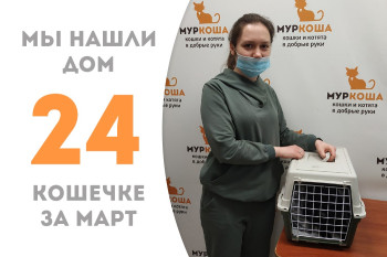 Кошечка Тайна встретила надежную хозяйку!
