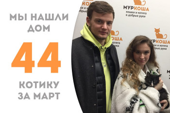 Крошка Тими стал домашним за один месяц!