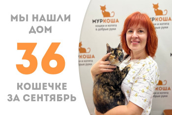 Кошечка по имени Тосик обрела домашнее счастье! 