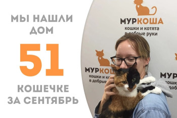 Пятилетняя кошечка Трита обрела любящую хозяйку и отправилась домой! 