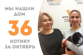Незрячий котёнок Турмалин нашёл для себя прекрасных людей, пробыв два месяца в приюте! 