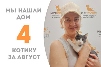 Пробыв в приюте чуть более месяца котёнок Тузик стал домашним! 