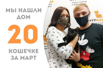 Кошечка Умра нашла свой новый дом за два месяца!