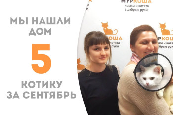 Годовалый уличный котик Уран стал домашним любимцем! 