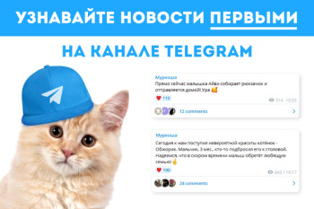 Узнавайте новости первыми