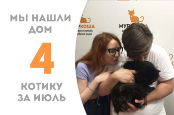 Котик по имени Вадик стал домашним и счастливым! 