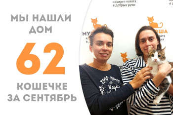 Исполнилась мечта трёхлетней кошечки Ваксы, она стала домашней! 
