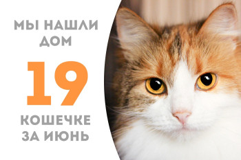 Кошечка Василисия стала домашней менее чем за два месяца!