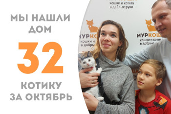Малыш Верховенский собрал свой походный рюкзачок, найдя дом за три недели! 