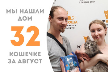 Кошечка по имени Выпечка через месяц в приюте обрела заботливых хозяев! 