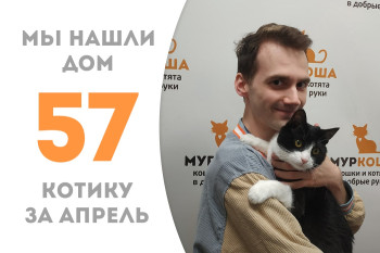 Котик Януш обрёл дом и любящего человека! 