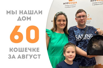 Кошечка Ютта обрела уютный дом и семью! 