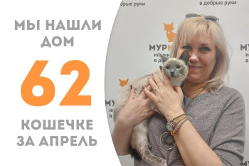 Прекрасная кошечка Залина отправилась домой! 