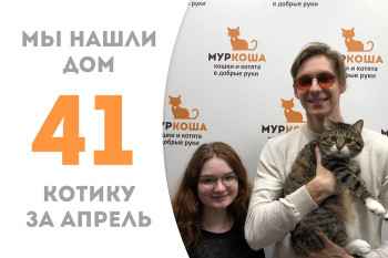 Котик Жоржик встретил чудесную семью!