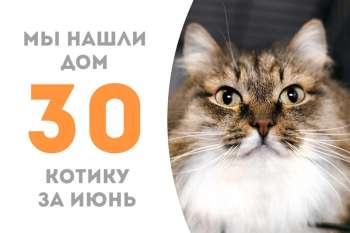 Адлер обрел дом!