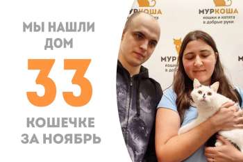 Алексия обрела семью!