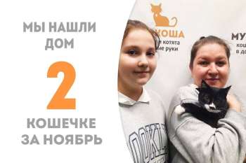 Спустя 3 месяца Алекто обрела семью и едет к нашей выпускнице Зариме!