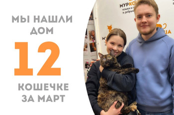Трехлетняя Алойша нашла семью!
