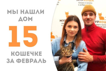 Красавица Амелфа стала домашней!