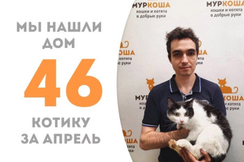 Антониус обрёл дом за два месяца!