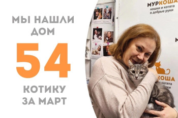 Котик Арамис стал домашним всего за три недели!