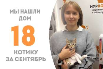 Архыз теперь домашний!