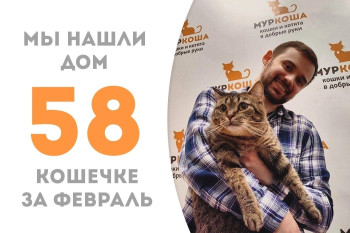 Пятилетняя Армида обрела дом!
